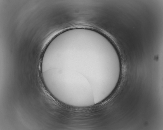 X0000115701415200912031455