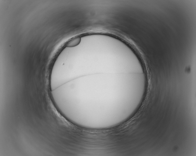 X0000115701416200912031455