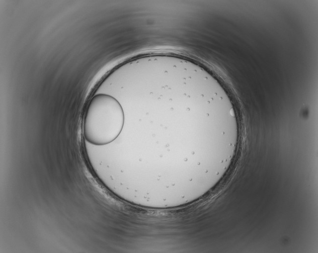 X0000115701420200912031455