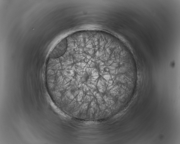 X0000115701421200912031455