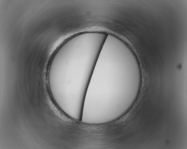 X0000115701422200912031455