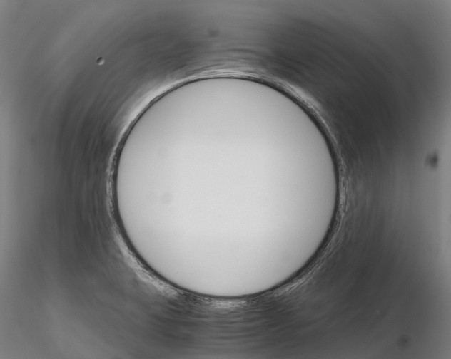 X0000115701423200912031455