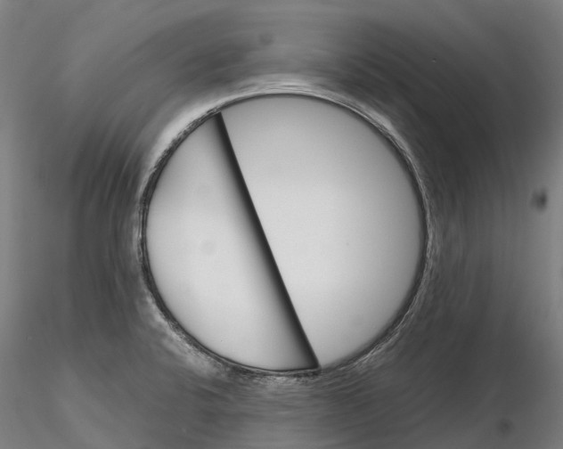 X0000115701424200912031455