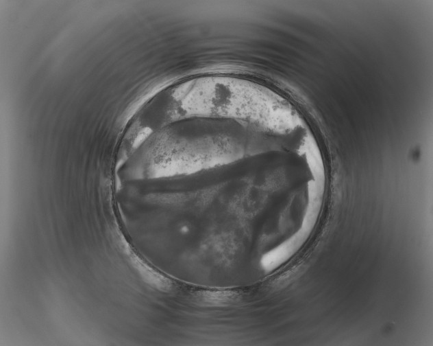 X0000115701425200912031455