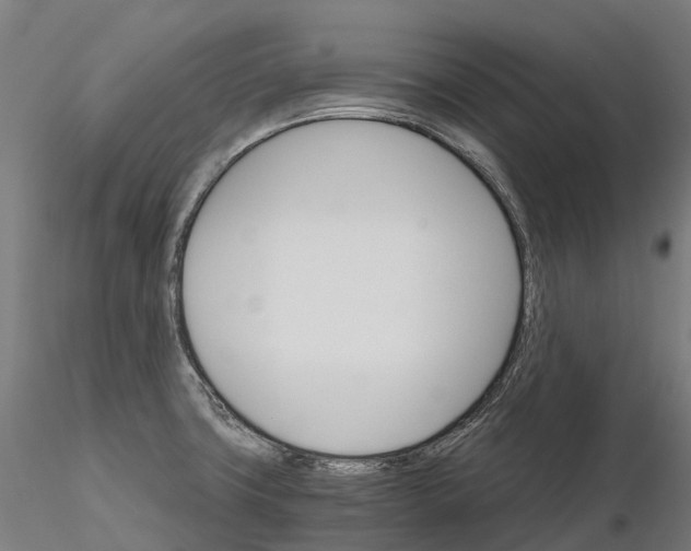 X0000115701427200912031455