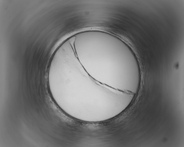 X0000115701428200912031455