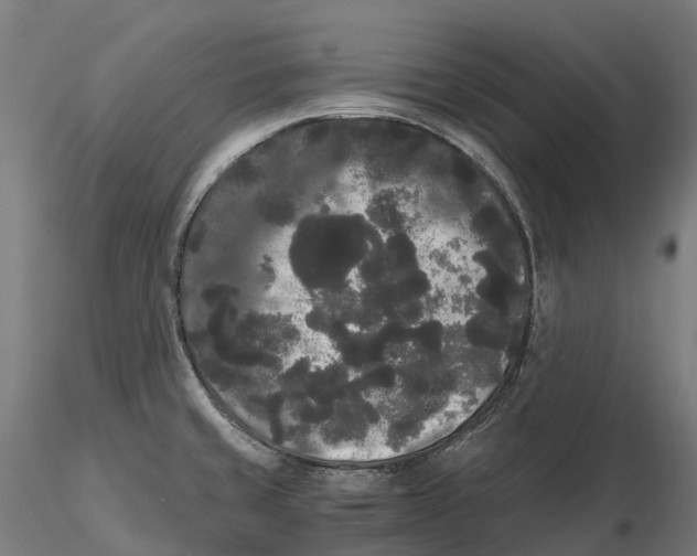 X0000115701429200912031455