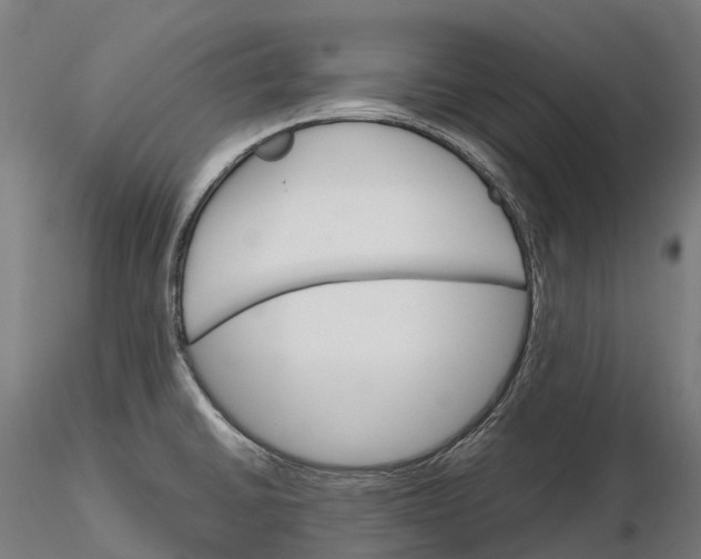 X0000115701430200912031455