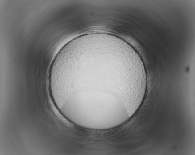 X0000115701431200912031455