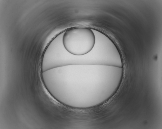 X0000115701432200912031455