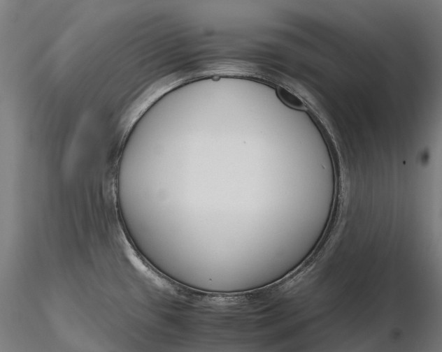 X0000115701433200912031455