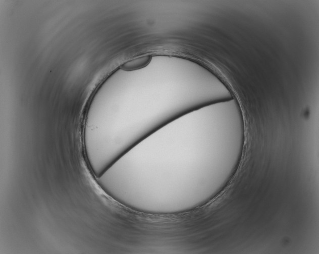 X0000115701434200912031455