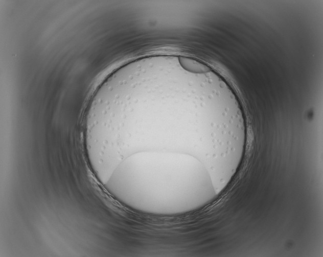 X0000115701435200912031455