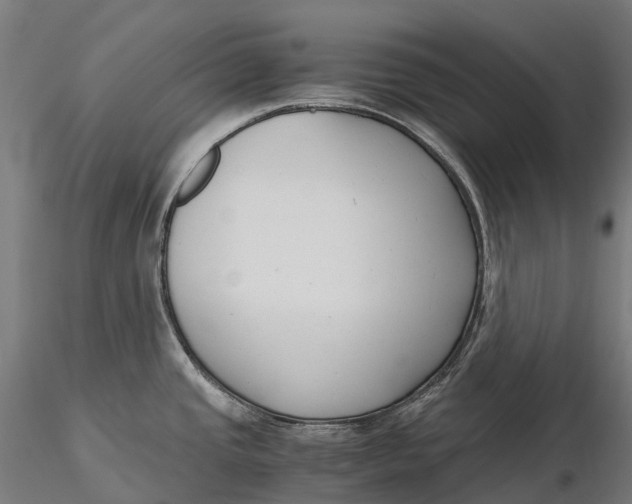 X0000115701437200912031455