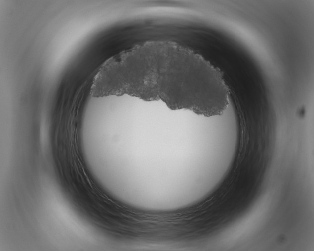 X0000115701438200912031455