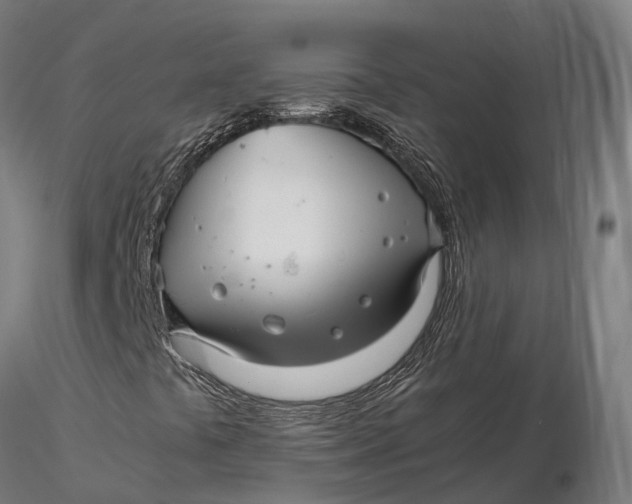 X0000115701441200912031454