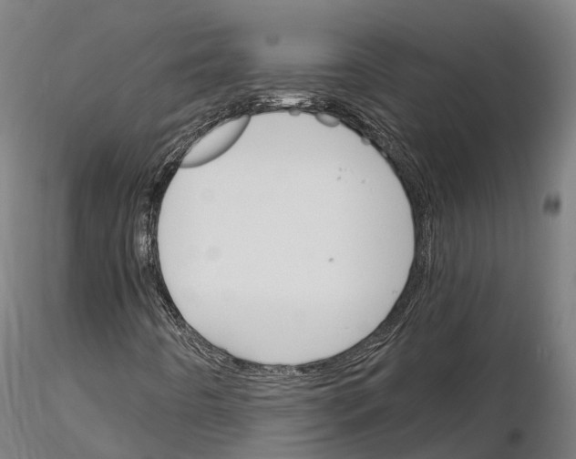 X0000115701442200912031454