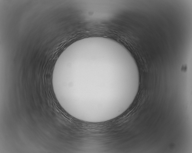 X0000115701443200912031454