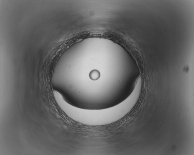 X0000115701445200912031454