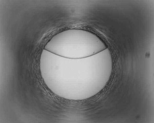 X0000115701447200912031454