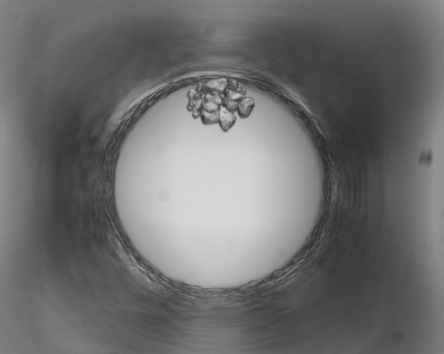 X0000115701448200912031454