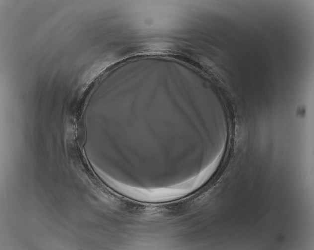 X0000115701449200912031454