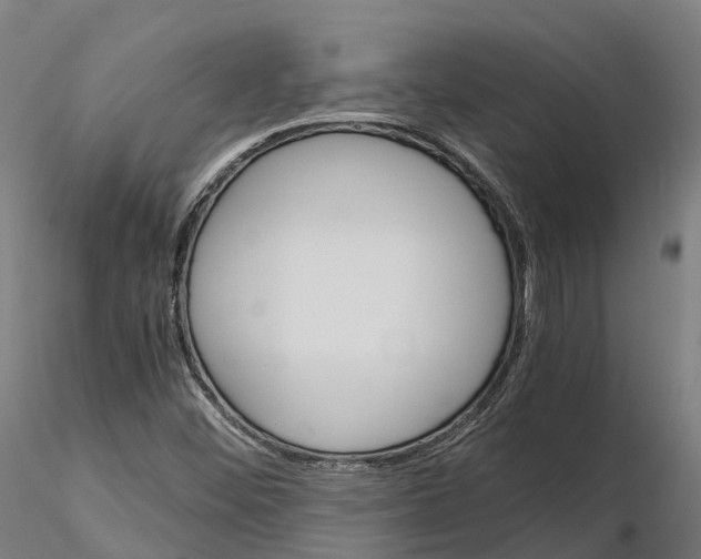 X0000115701452200912031454