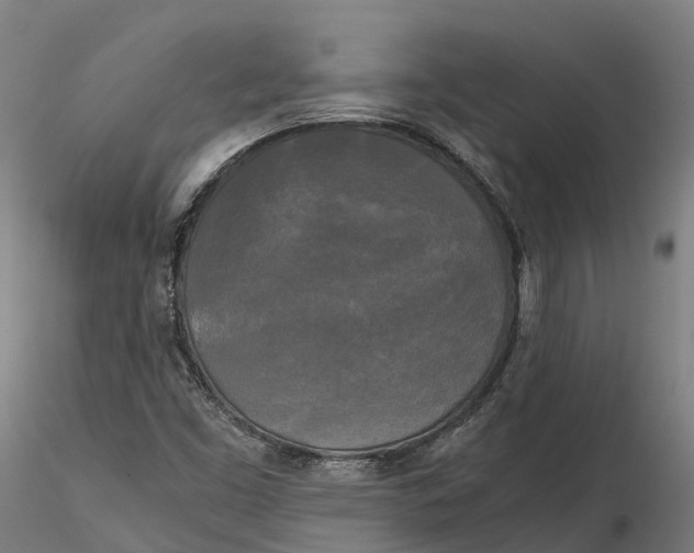 X0000115701453200912031454