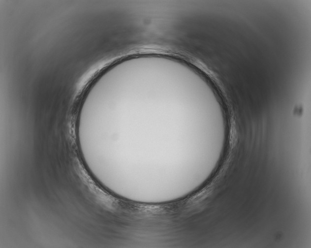 X0000115701454200912031454