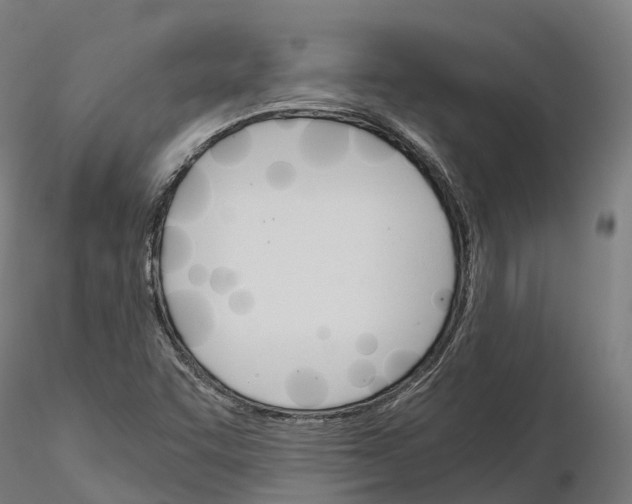 X0000115701455200912031454