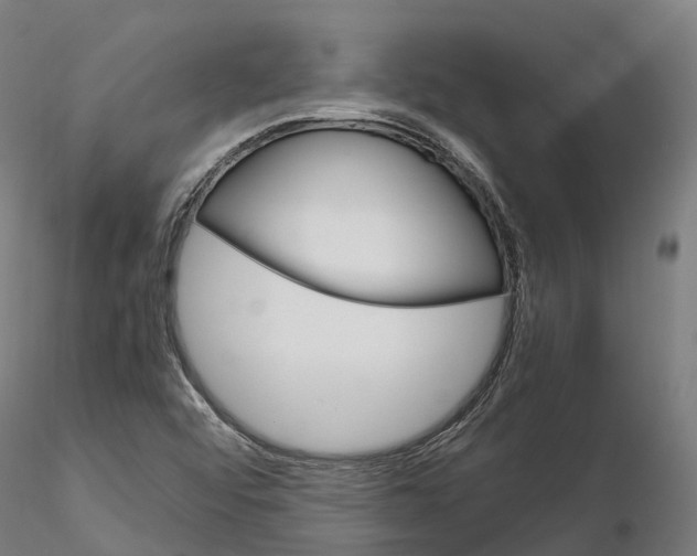 X0000115701456200912031454