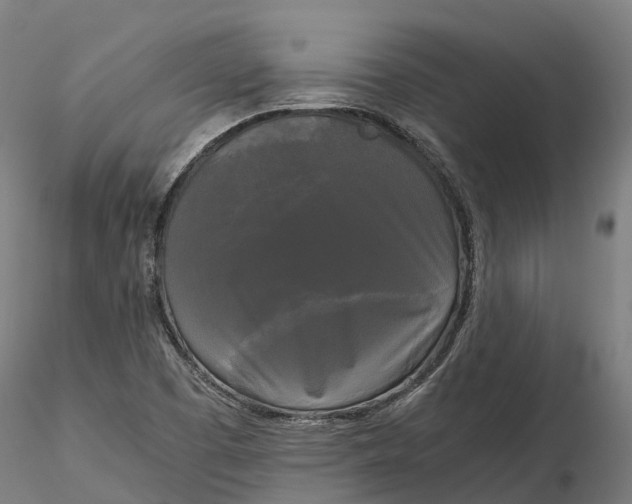 X0000115701457200912031454