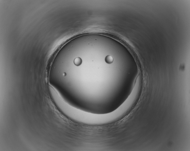 X0000115701461200912031454