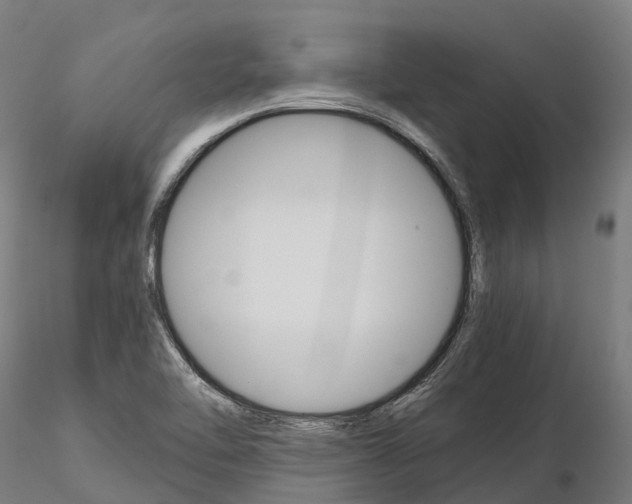 X0000115701462200912031454