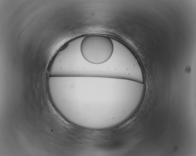 X0000115701463200912031454