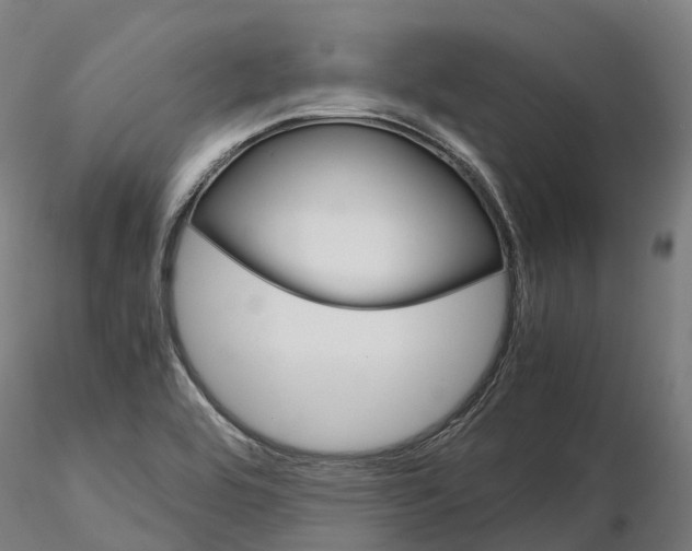 X0000115701464200912031454