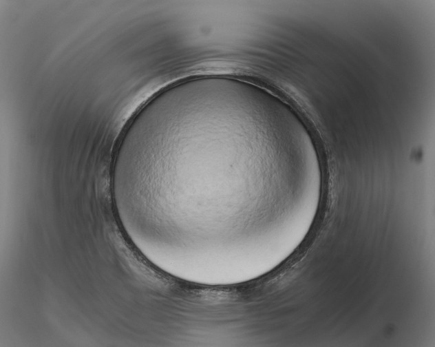 X0000115701465200912031454