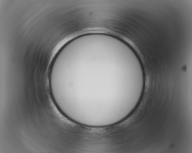 X0000115701466200912031454