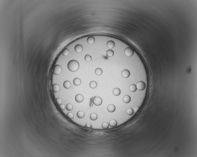 X0000115701467200912031454