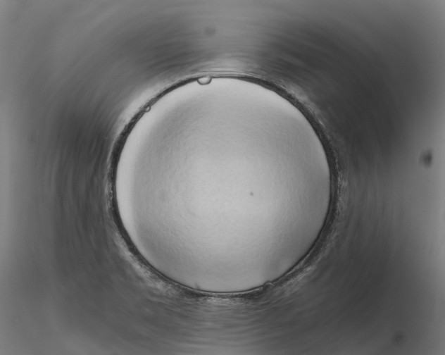 X0000115701469200912031454