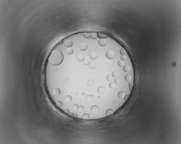 X0000115701471200912031454