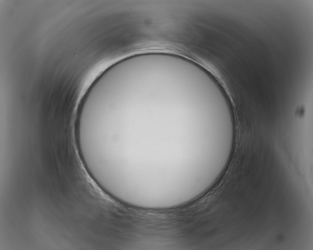 X0000115701472200912031454