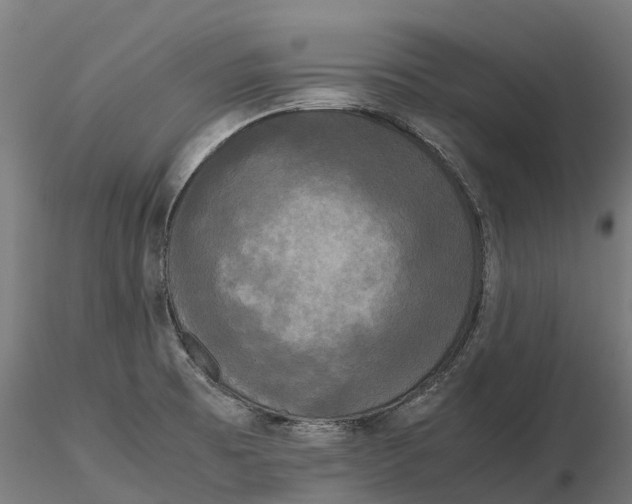 X0000115701473200912031454