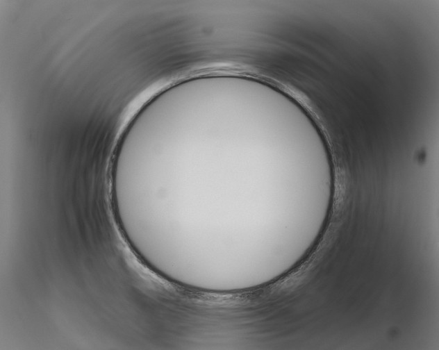 X0000115701474200912031454