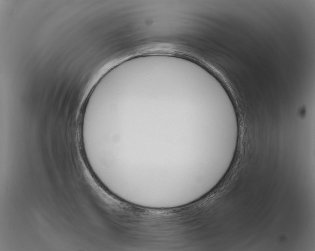 X0000115701475200912031454