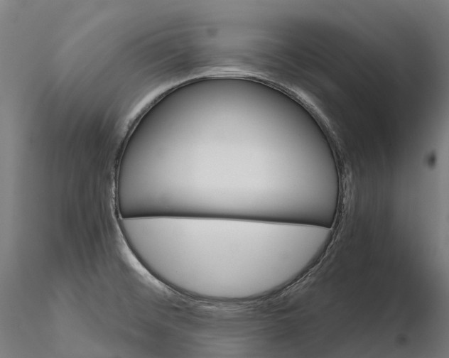 X0000115701476200912031454