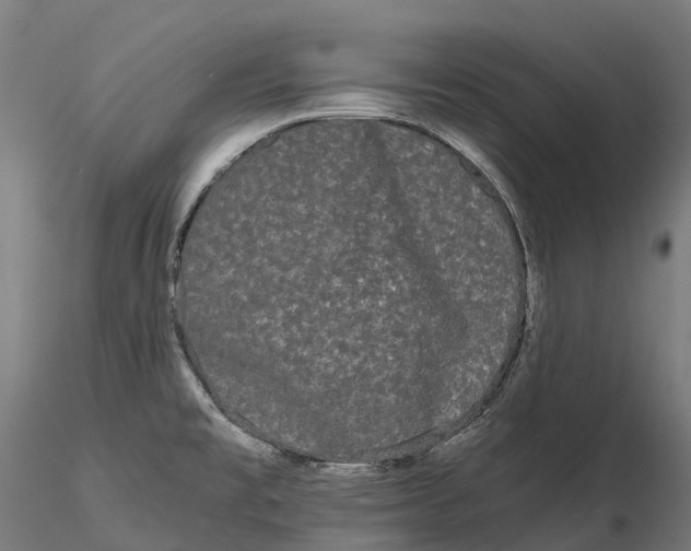 X0000115701477200912031454