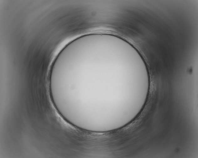 X0000115701478200912031454