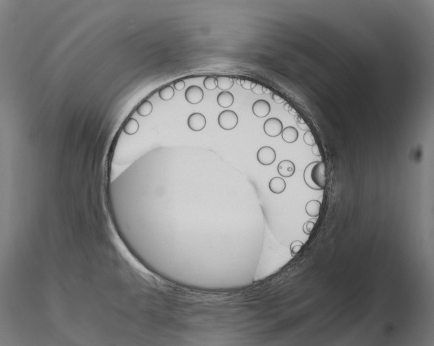 X0000115701479200912031454