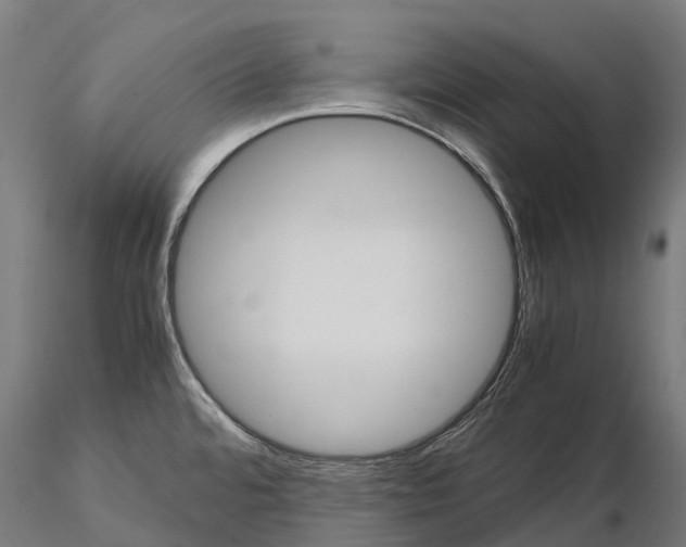 X0000115701480200912031454